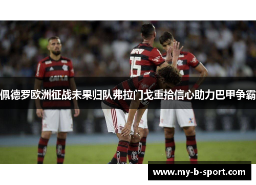 佩德罗欧洲征战未果归队弗拉门戈重拾信心助力巴甲争霸